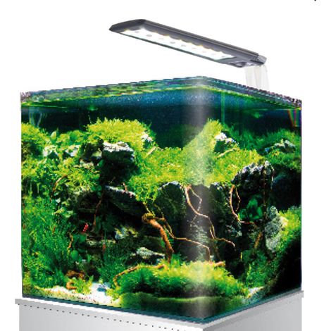 Amtra Nanotank Cubo System 60 Acquario in vetro con angoli frontali arrotondati completo di luce LED e filtro 38x38x43cm
