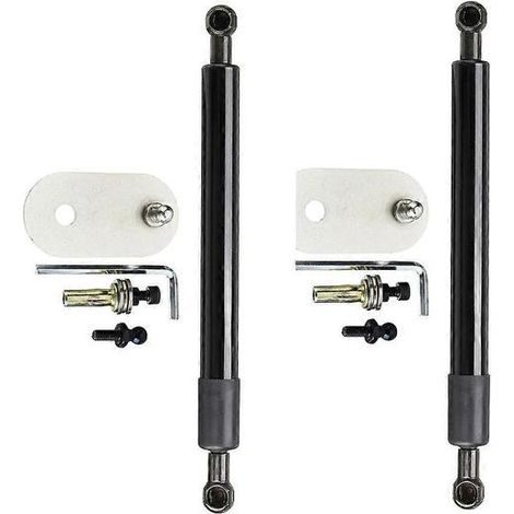 Amortisseurs de hayon arrière pour Dodge RAM 1500 2500 3500 Pickup 2009-2018 (1 jeu/2 pièces) DZ43301