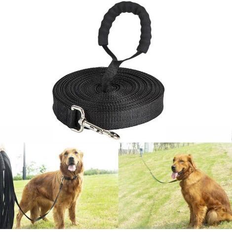 Longe pour Chien - Longe Chien 5m 10m 15m 20m 30m Laisse pour Chien, Laisse de Dressage avec Poignée pour Chiens (1/5)