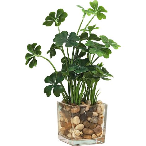 1 Plante artificielle trèfle, pot en verre transparent, remplissage pierre, décoration intérieur bureau maison (1/5)