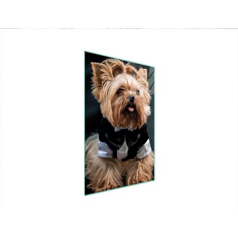 TABLA DE CORTAR DE VIDRIO 35x52 PERRO (1/5)