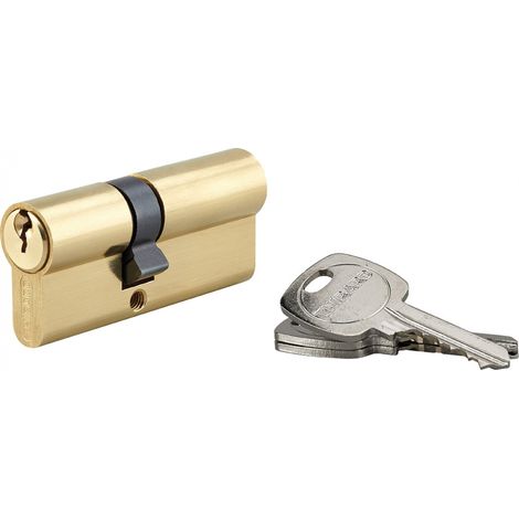 Cylindre de serrure double entrée STD UNIKEY (achetez-en plusieurs, ouvrez avec la même clé), 30x40mm, 3 clés, laiton - THIRARD