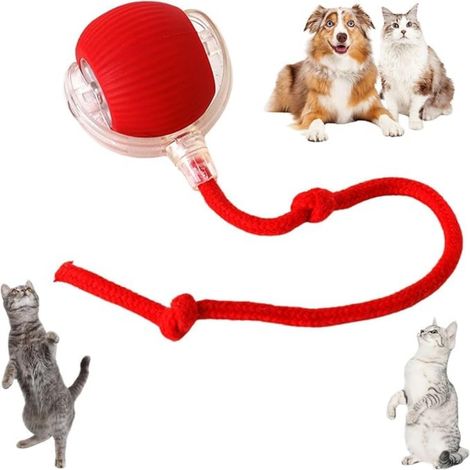 Balle interactive pour chien, balle roulante active pour chiens, jouets pour chats, jouets intelligents interactifs pour chiens, balle de jouet électrique rechargeable pour chat (1/5)