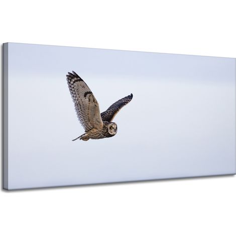 Lienzo impreso con la imagen de un búho en vuelo, 120 x 60 cm.