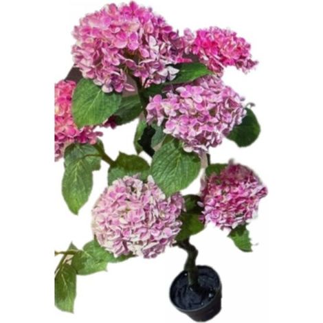 Pianta ornamentale Ortensia colore rosa 150H con vaso