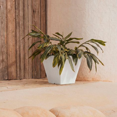 CLAVEL 30 Macetero Cuadrado de Interior y Exterior Para Plantas y Flores Muy Resistente al Paso del Tiempo. Hecho de Polietileno en España - Blanco