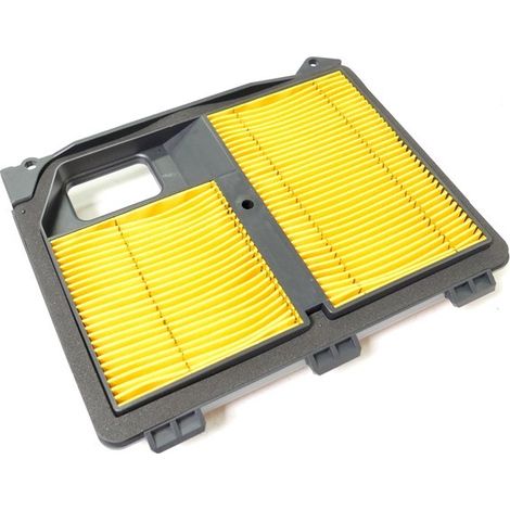 Filtre à air Honda moteur GX610, GX620, GXV610 et GXV620 (1/4)