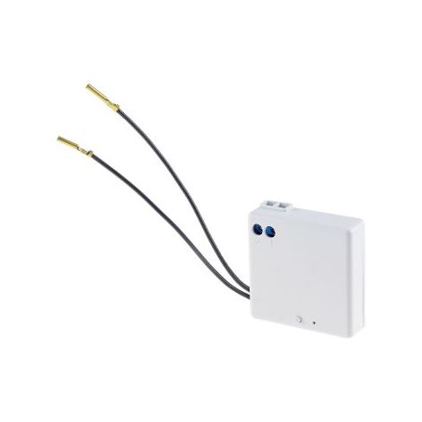 Funk-Empfänger für Pilota Casa 2-Draht, max. 300W (1/4)