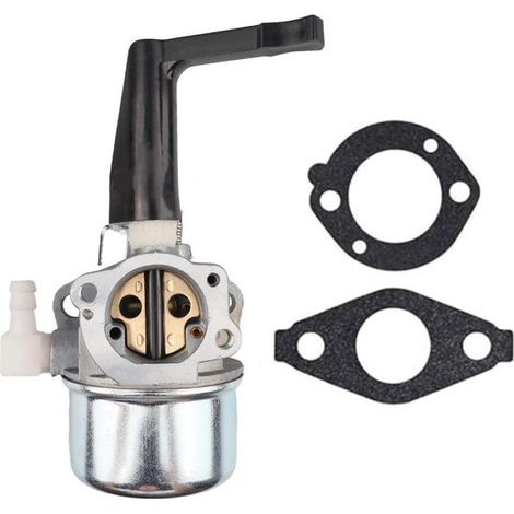 Carburador 696065 con junta – Apto para Briggs & Stratton 697422 110402 110412 215369 (1/5)