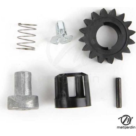 Kit nez de démarreur pour Briggs & Stratton. 495877, 696539, 490467 (1/4)
