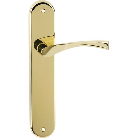 Manilla puerta zamak placa ovalada dorado brillo 250mm (1/5)