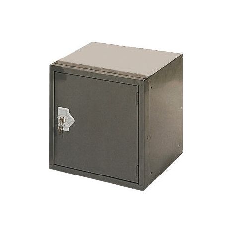 Armoire à serrure 1 porte, 305 mm x 305 mm x 305mm ( Prix pour 1 )