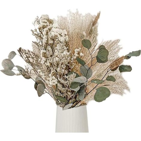 45PCS Herbe de Pampa et Queue de Lapin Séchées, Décoration Naturelle pour Maison et Style Bohème