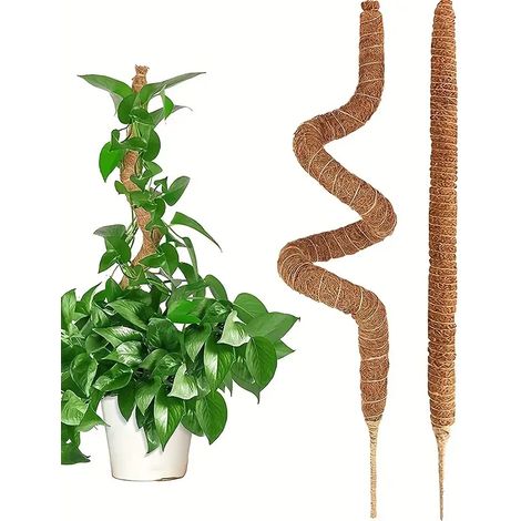 Supports pour plantes grimpantes, tuteurs de jardin, bâtonnets flexibles en cocotier (1/5)