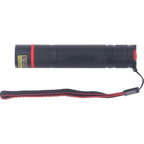Mini-UV-Taschenlampe (365 nm), Schwarzlicht, USB-aufladbar, LED-Schwarzlicht, Haustierurin-Detektor für eingetrocknete Urinflecken von Hunden und Katzen (1/5)