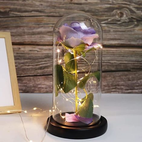 Rose éternelle - - Violet Clair - Dôme en verre - Lumière LED - Cadeau idéal (1/5)