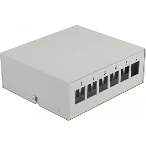 Delock Panel de conexiones Keystone de 6 puertos gris