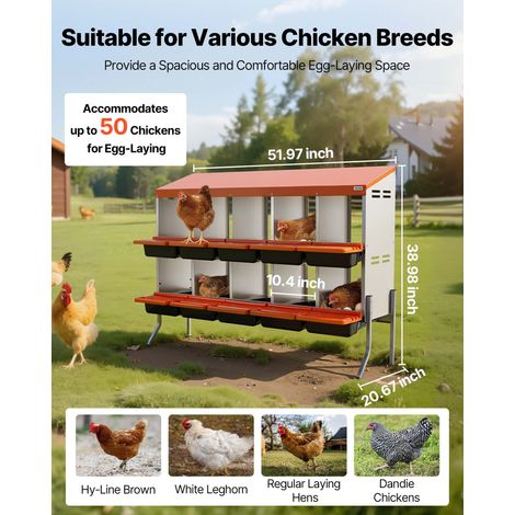 Pondoir à Poules 10 Compartiments Nichoir à Poule en Acier Galvanisé et Plastique Haute Résistance pour Différentes Races de Poules… (1/5)