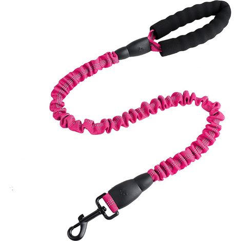 Laisse extensible réfléchissante pour chien, laisse élastique de dressage pour chiens (1/5)