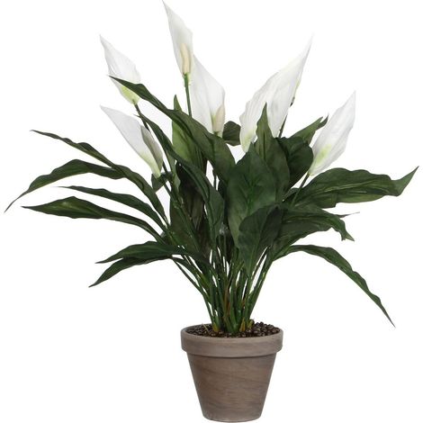 Plante artificielle Spathiphyllum avec pot en terre cuite fleurs blanches H50 x Ø40 cm - PANGIVO (1/5)