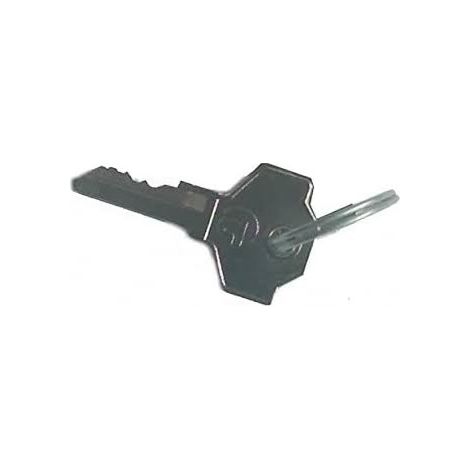 Par De Llaves Codificadas 201 Para Motor 770 N 770N Recambio Original FAAC 713021