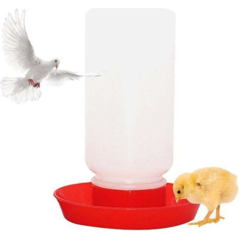 Distributeur Abreuvoir Mangeoire pour Volaille Poule Canard Caille Nourriture Poussin (1/4)