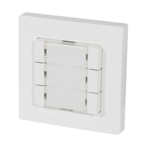 12501006 HOMEPILOT SANS FIL INTERRUPTEUR MURAL MONTAGE APPARENT (EN SAILLIE)
