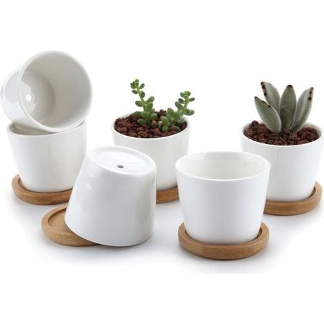 6.5CM Pot de Succulent en Céramique Blanc avec Plateau en Bambou Lot de 6, Cactus Plante Planteur Cache Pot Jardinière Contenant Cadeau pour Anniversaire Mariage (1/5)