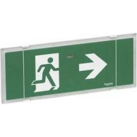 Schneider OVA58000 - SATI PYROS ESI EV security lighting unit IP42 ACT.L.4 5.1NC.T