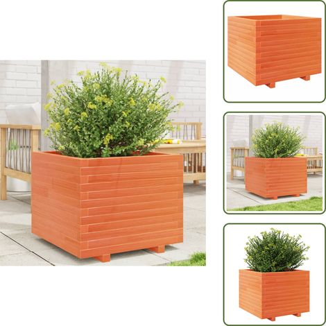 Pflanzkübel Wachsbraun 60x60x49,5 cm Massivholz Kiefer - Kiefernholzkübel - Blumentopf Aus Holz - Pflanzenbehälter - Balkonpflanzen - Gartendekoration (1/5)
