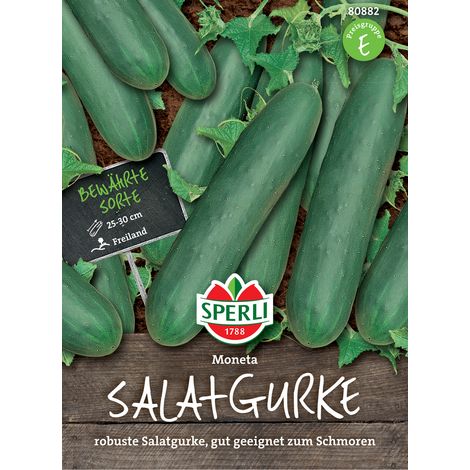 Sperli Salatgurken Moneta - Gemüsesamen (1/3)
