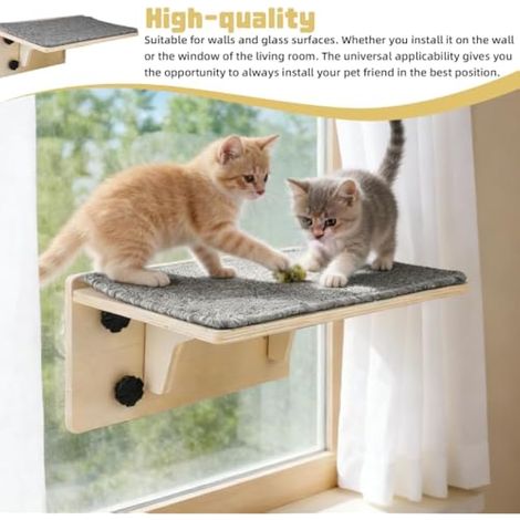 Mur d'escalade pour chat, avec grandes ventouses, mur d'escalade, avec tapis en feutre amovible, lavable, 2 en 1, pour mur et verre, taille M, 40 x 26 cm (1/3)