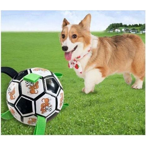 Une balle pour chien indestructible, une balle interactive pour chien d'intérieur/extérieur, équipée d'une pompe à air (version noire), ornée de motifs de dessins animés verts. (1/3)