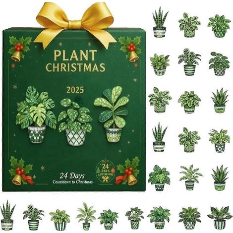 Calendrier de l'Avent 2D en acrylique avec plante, 24 jours, décoration à suspendre pour sapin de Noël, à faire soi-même. (1/5)