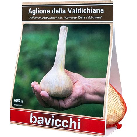 AGLIONE DELLA VALDICHIANA (1/2)