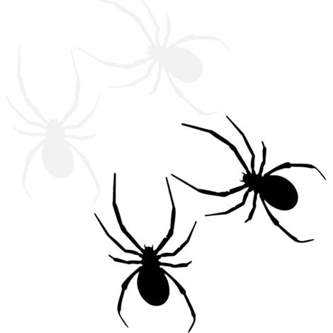 of Car Stickers Easy Installation Spider Shape Damage