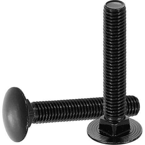 (304) Boulons à tête ronde et collet carré en acier inoxydable pour la fixation de raccords (paquet de 10, M10 x 60 mm, noir) (1/5)