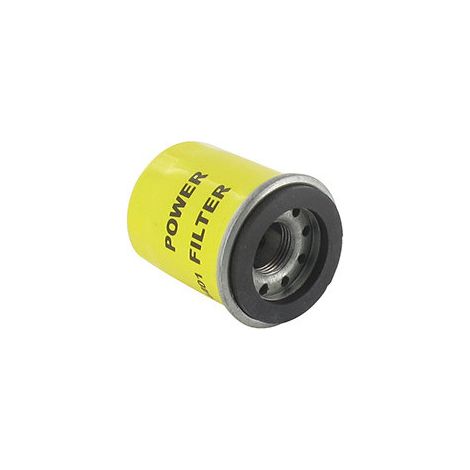 Filtro olio BRIGGS ET STRATTON 795990