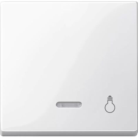 Merten Wippe Kontr.Fenster pws/gl Aufdruck Licht 435919 (1/2)