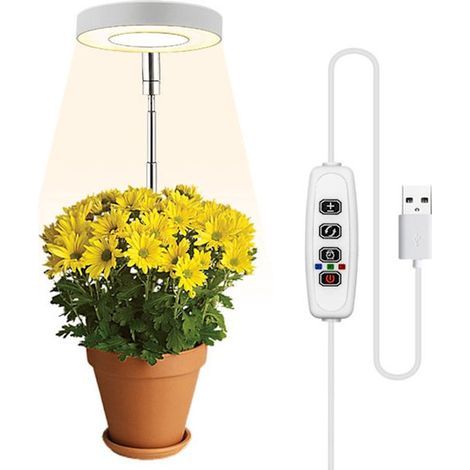 Lampe de croissance LED à spectre complet pour plantes - Éclairage horticole - Minuterie automatique 3/9/12 heures - 10 niveaux de luminosité - Hauteur réglable - Blanc chaud (1/5)
