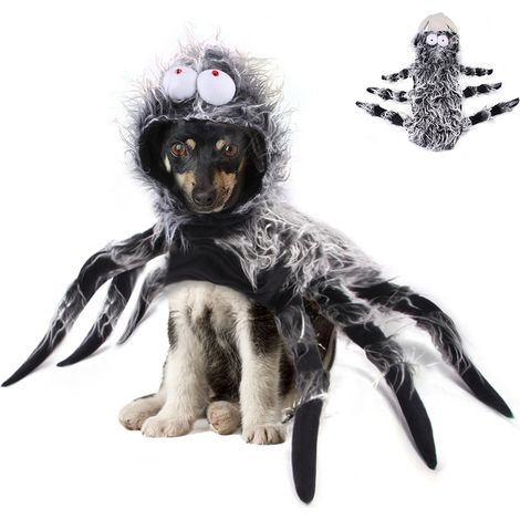 Déguisement d'Halloween pour chien, déguisement d'araignée pour chien, costume pour animal de compagnie, costume de cosplay, vêtements d'Halloween pour chiens de grande et moyenne taille, décoration ( (1/3)