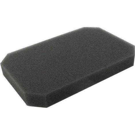 Filtre À Air - Pour Modèles EX17 - Référence De Remplacement 277-32603-08 - Unité (1/4)