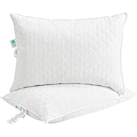 Oreillers Duvet et Plumes d'oie 50x70 cm Lot de 2 Blanc (1/5)
