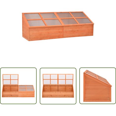 The Living Store Serre Bois 180x57x62 cm - Serre De Jardin - Serre Bois - Abri Jardin - Tunnel De Jardin - Protection Plantes (1/5)