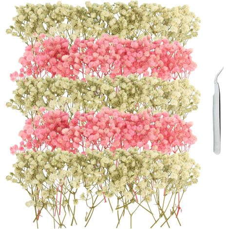 Gypsophile Séché Mini Fleurs Séchées 100Pcs Fleur Sechees Decoration (1/5)