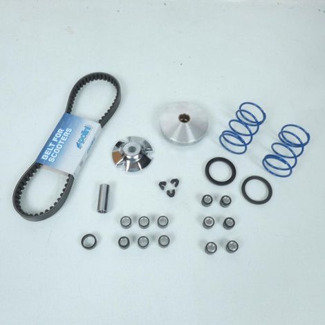 kompletter variator-satz polini für roller piaggio typhoon 50