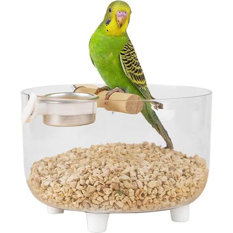 Table de jeu pour oiseaux - Support de jeu portable pour oiseaux avec (1/5)