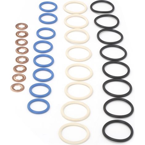 Kit Joints Toriques Injecteur 3C3Z9229AA CM5055 Compatible Ford 6.0L Powerstroke Diesel 2003-2010 (1/5)