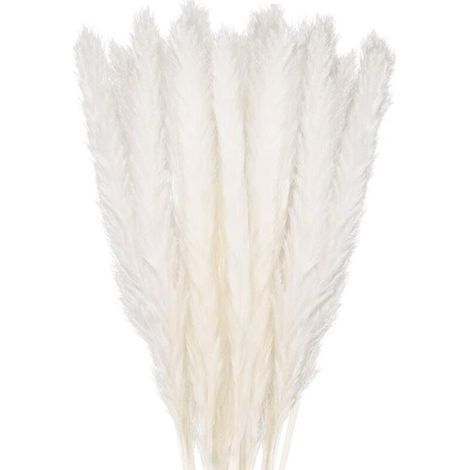 CHOYCLIT 30 pcs Herbe de la Pampa, 58 cm Naturel Pampa Fleur Bouquet de Fleurs Sechees pour Vases, Blanc Boho Decoration Chambre Maison Salon, Mariage Photographier Table Décoration