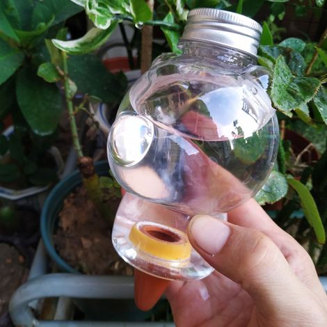 Arroseur automatique en verre en forme d'ours, adapté à une utilisation intérieure et extérieure. (1/5)